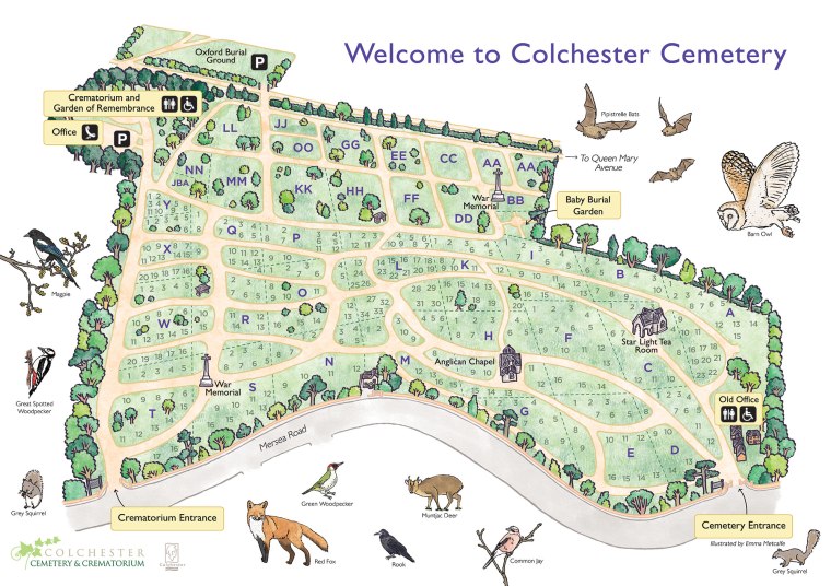 Bespoke illustrated hand drawn map of Colchester Cemetery showing wildlife species living there by map illustrator Emma Metcalfe